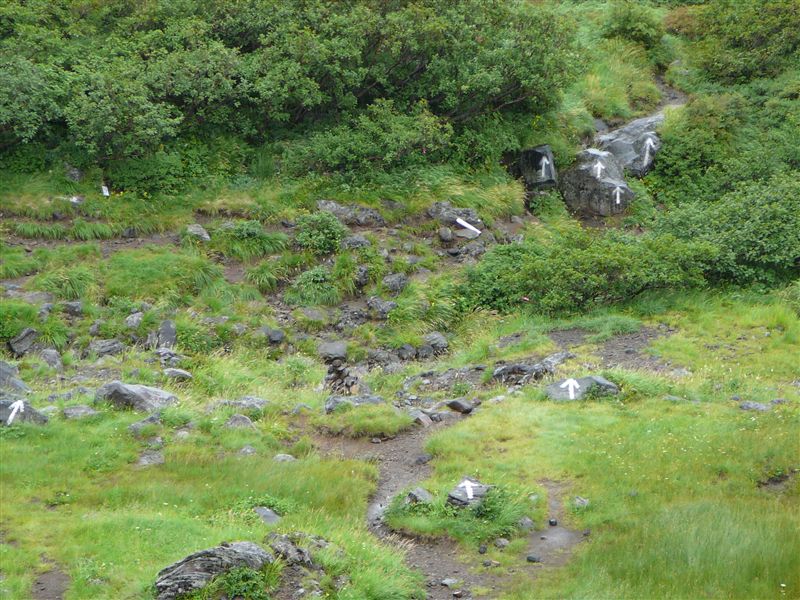 c0081645_0184391.jpg