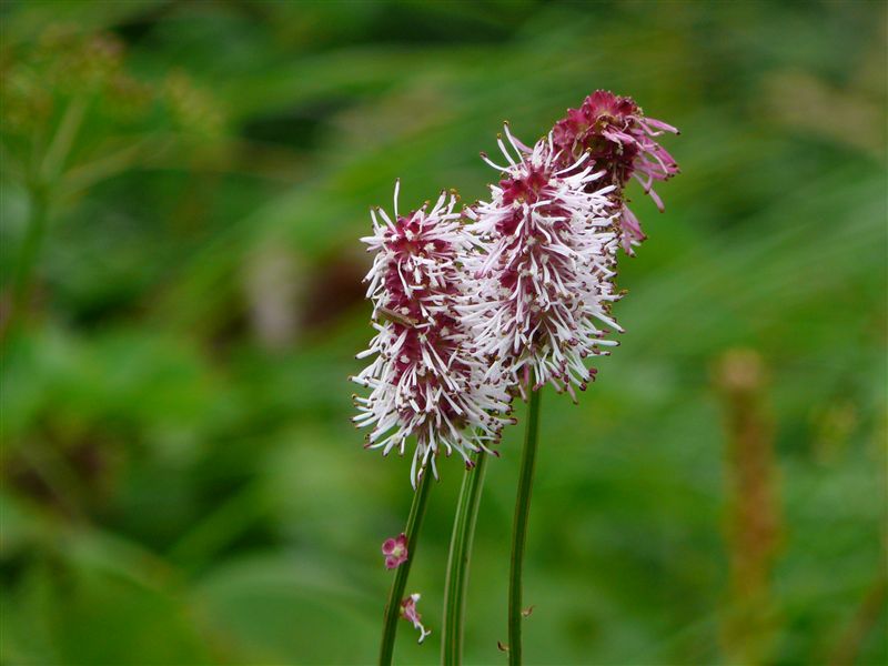 c0081645_032235.jpg