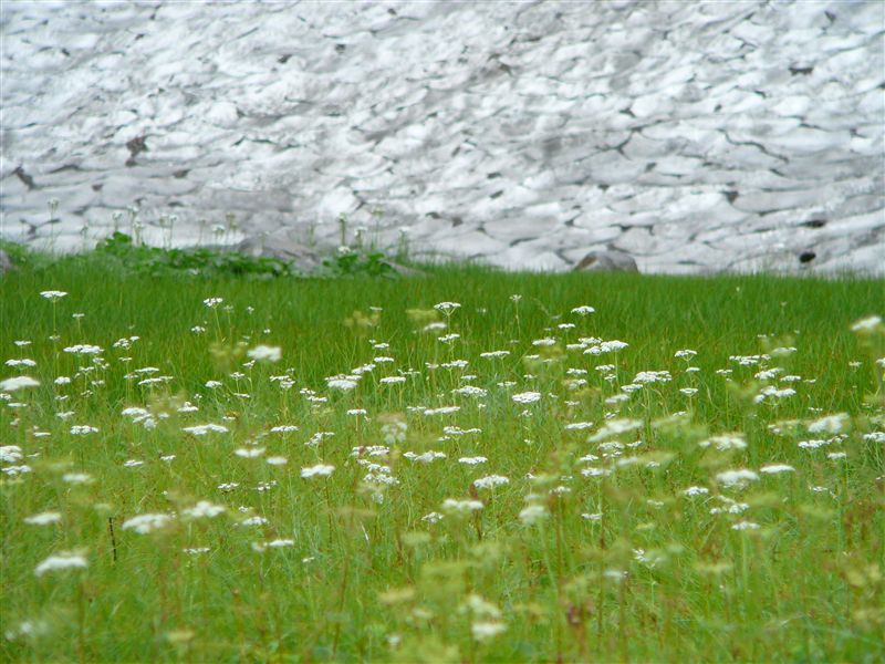 c0081645_073674.jpg