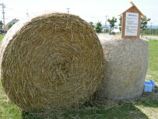 e0040452_23114095.jpg