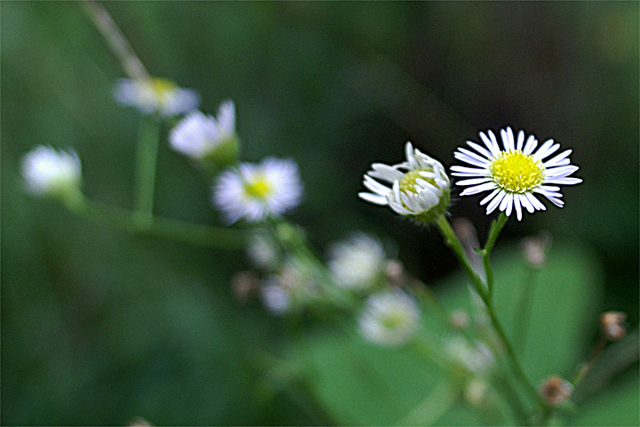 e0002371_17252987.jpg