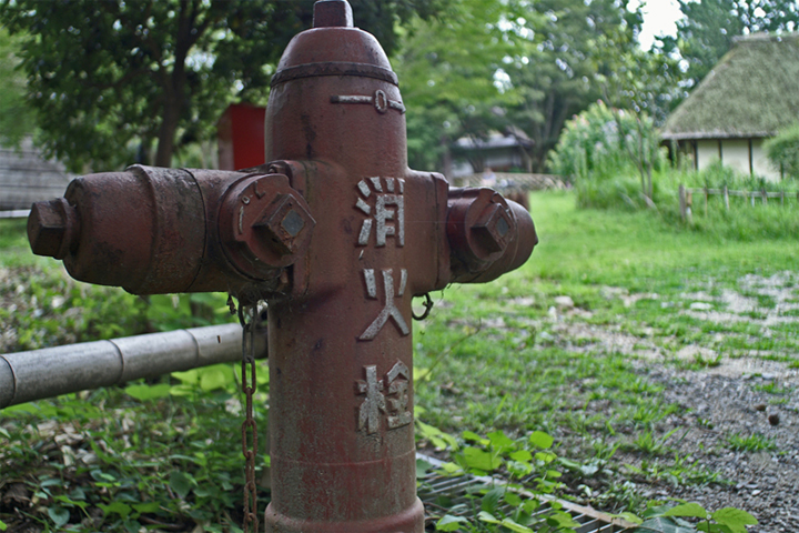 e0002371_17264476.jpg