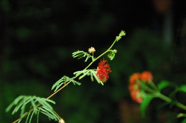 b0102780_23244020.jpg