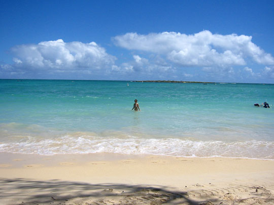 f0068883_14422970.jpg