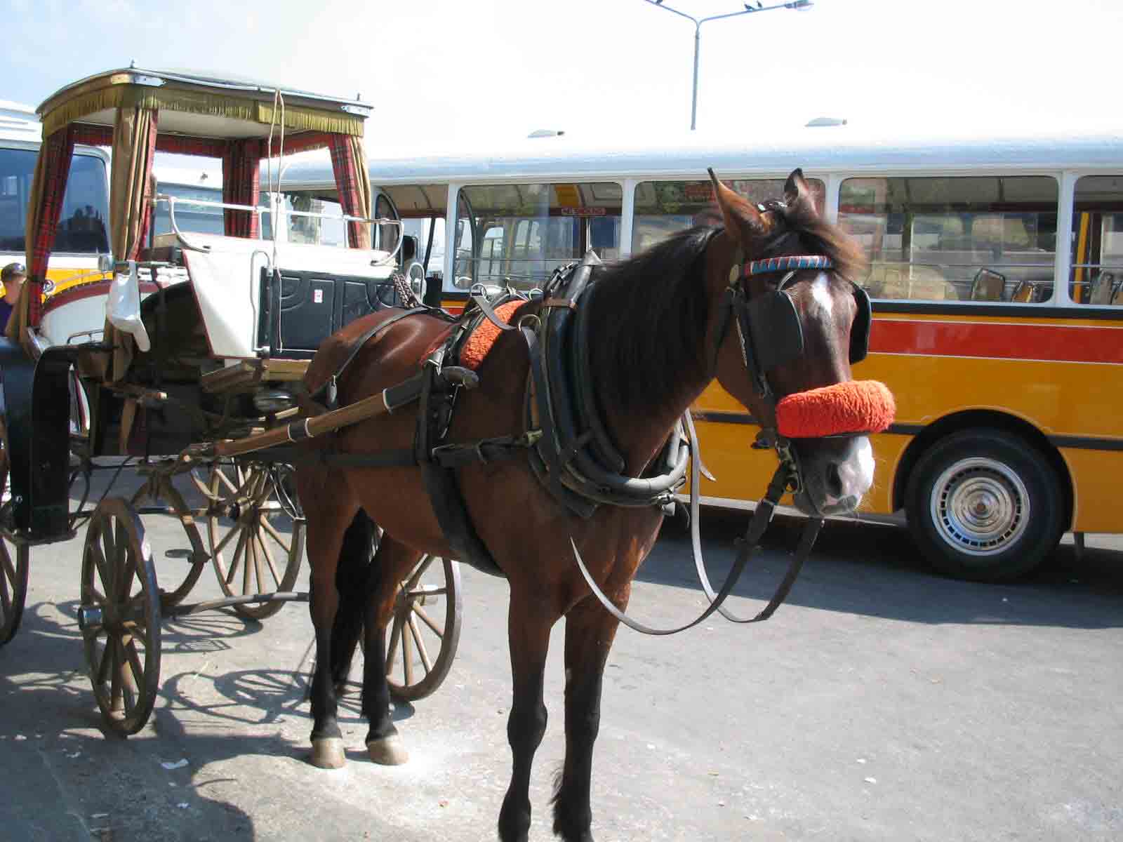 d0081889_14184645.jpg