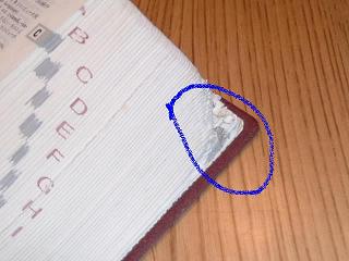 a0065800_2143475.jpg
