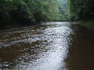 f0079411_20543463.jpg