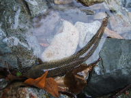 f0079411_2121985.jpg