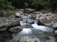 f0079411_21504319.jpg