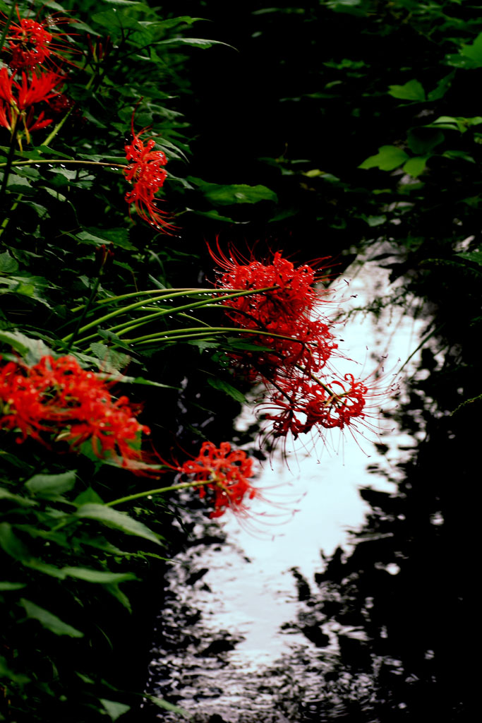 d0085715_0195338.jpg