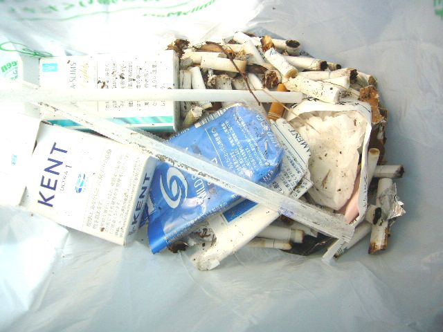 f0100920_7522061.jpg