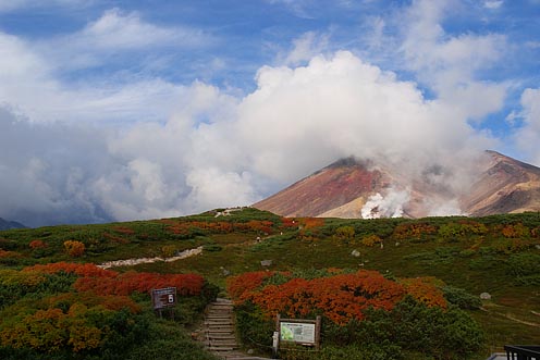 e0025030_2081271.jpg