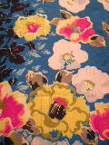 e0060530_231034.jpg