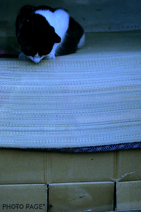 b0063234_2233821.jpg
