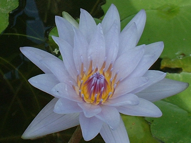 a0013236_1393917.jpg
