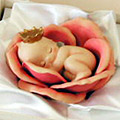 c0016642_033412.jpg