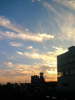 a0081944_046166.jpg