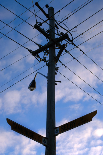 d0008146_1242839.jpg