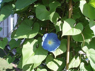 e0004756_2138015.jpg