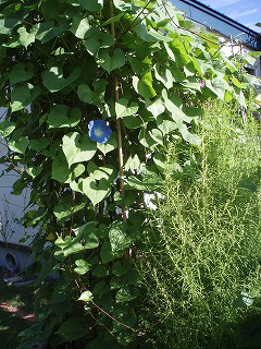 e0004756_21395764.jpg