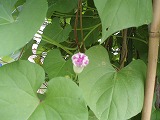 e0004756_21525889.jpg