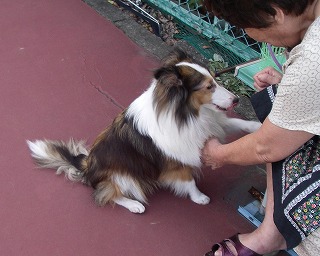 e0066062_21595711.jpg