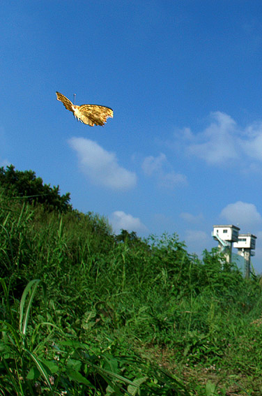 f0090680_211291.jpg