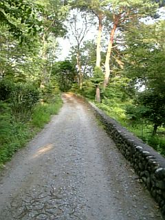 b0101300_10501039.jpg
