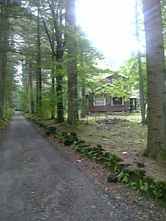 b0101300_11113465.jpg