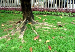e0007801_3275845.jpg