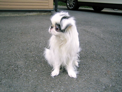 d0079302_1519524.jpg