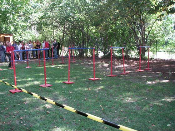 f0036603_2311276.jpg