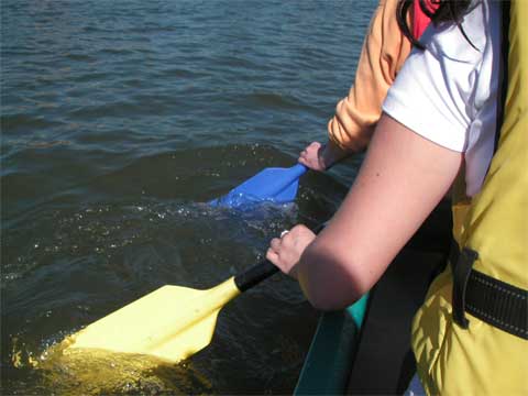 f0036603_23492398.jpg