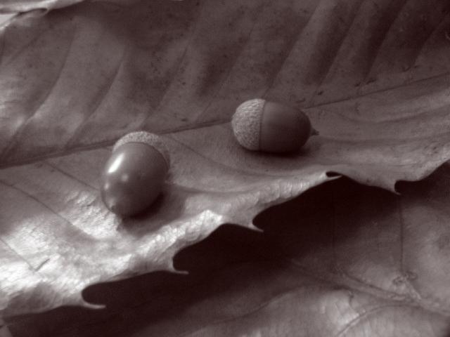d0071507_1612346.jpg