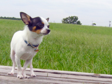 e0032508_19383323.jpg