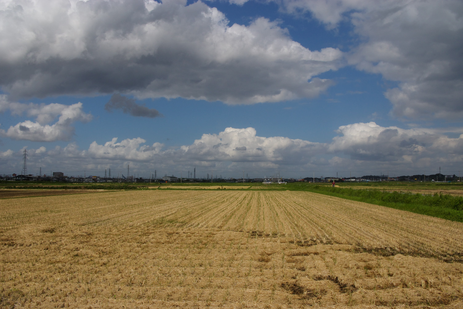 d0092109_1103195.jpg