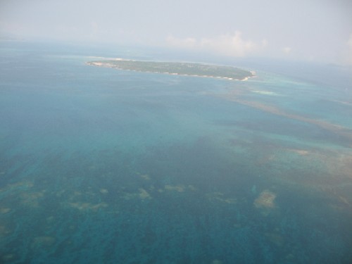 f0059214_1355792.jpg