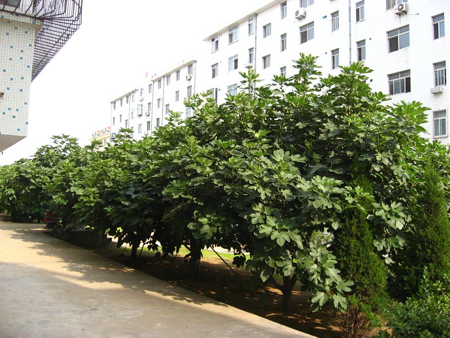 a0048423_11472899.jpg