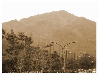 c0026824_15555155.jpg