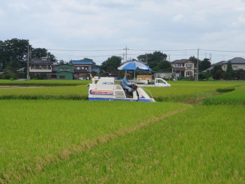 f0023625_16534168.jpg