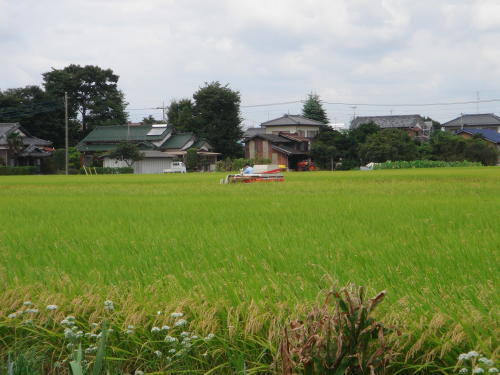 f0023625_16541956.jpg