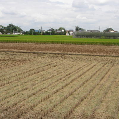 f0023625_16551262.jpg