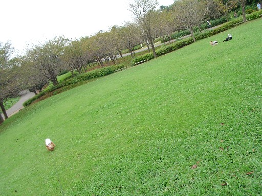 f0002833_237331.jpg