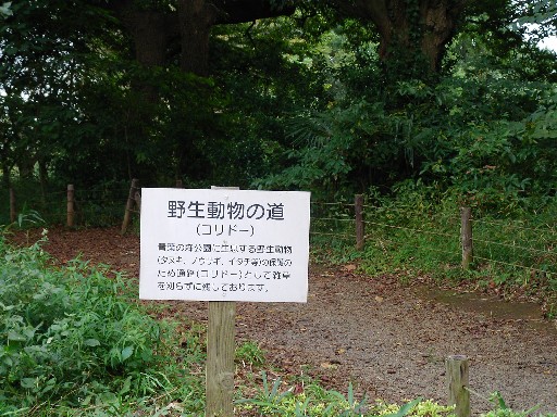 f0002833_2381516.jpg