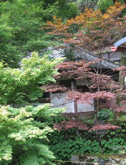 c0051938_12514764.jpg