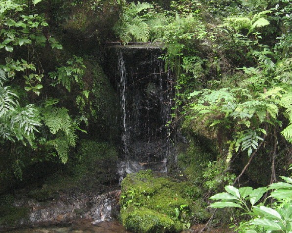 c0051938_1252831.jpg