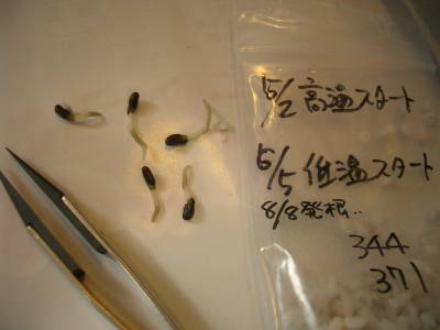 c0025140_22324635.jpg