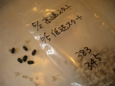 c0025140_22344872.jpg