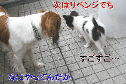 d0013149_13215521.jpg