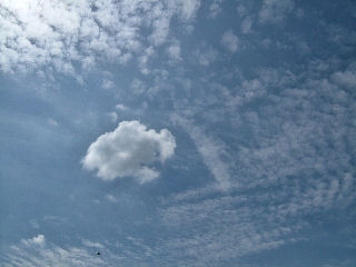 a0031454_22151614.jpg